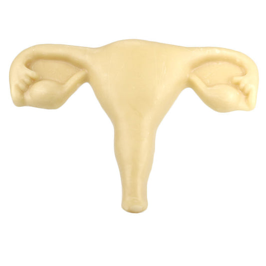 Wax uterus